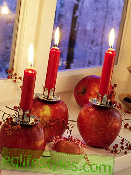 Apple with candle and rosehip branch