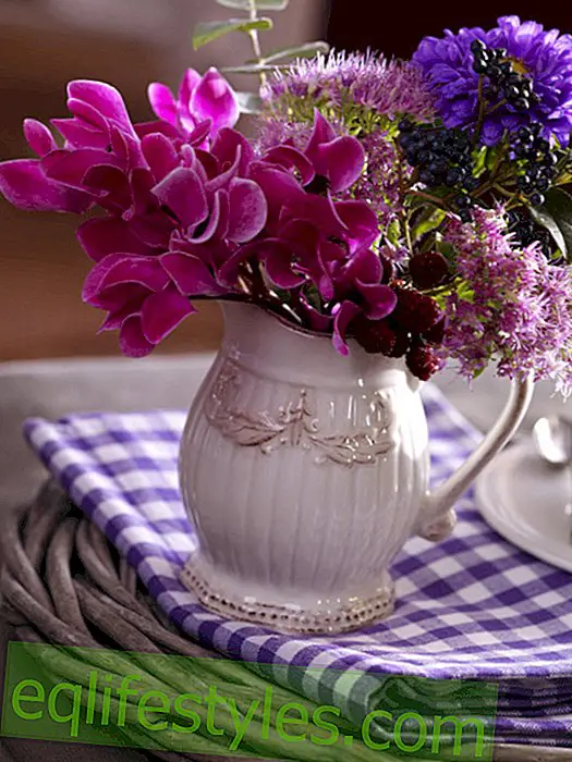 Mini-bouquet with cyclamen, asters and berries