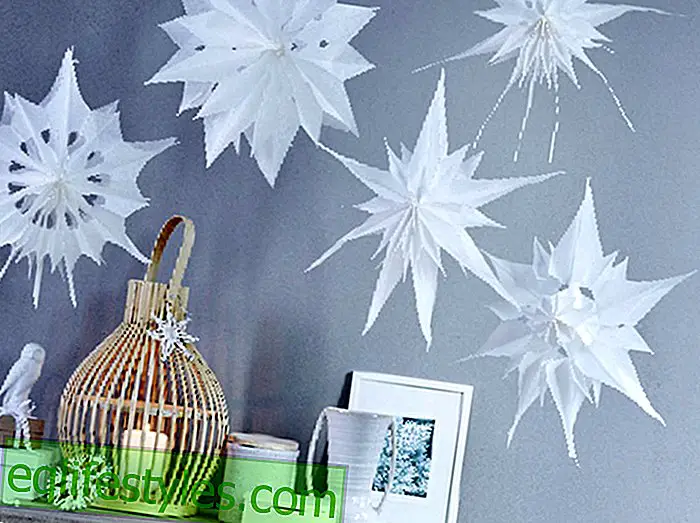 Quick and easy manual for decorative paper stars