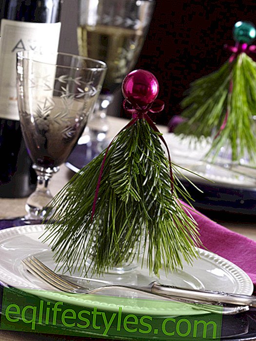 Table decoration with pine branches