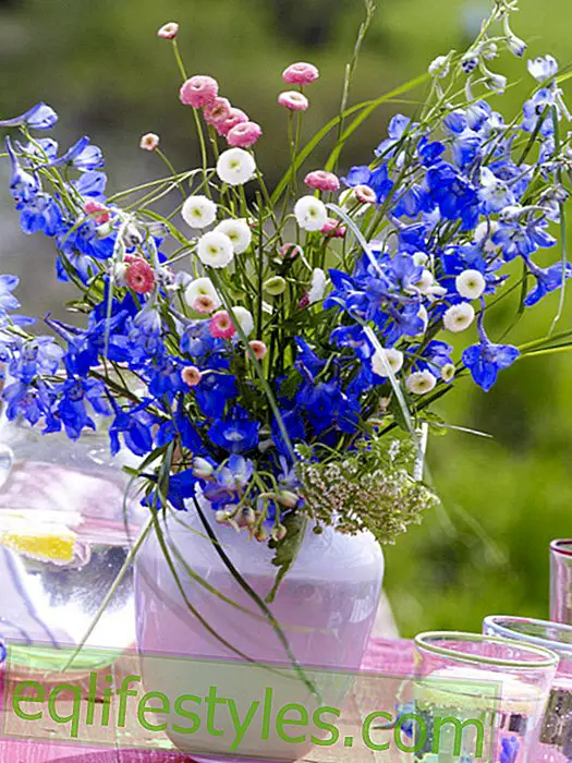 Meadow bouquet with larkspur