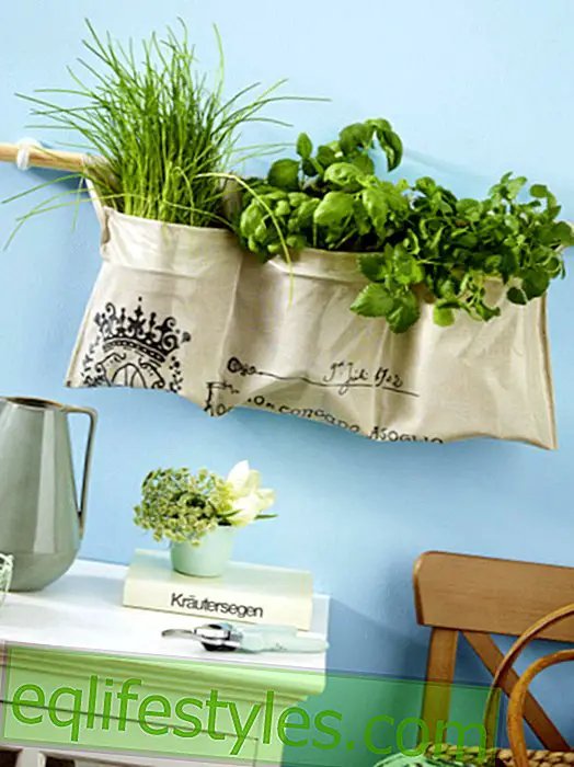 Savjet DIY: Tako je jednostavno napraviti biljni stalak