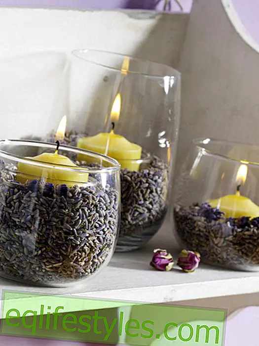 Lanterns with lavender