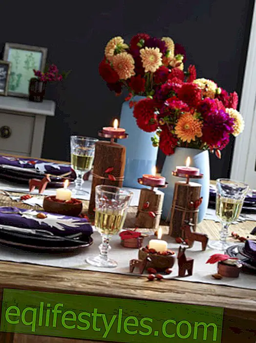 Autumn table decoration in blue, red and brown
