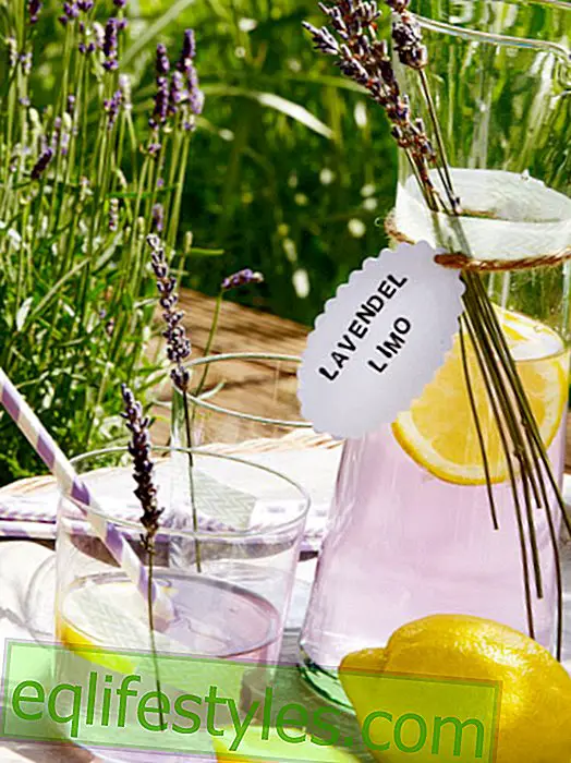 Lavender decoration: Provence look for the home