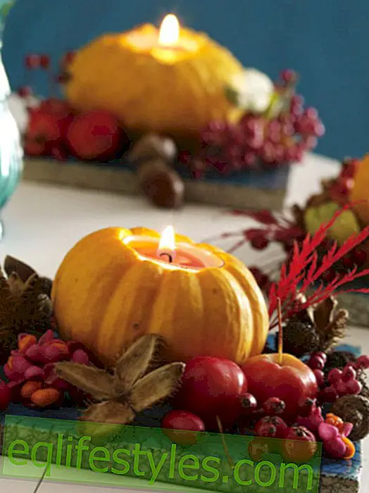 Crie uma decoração brilhante de outono - como funciona!