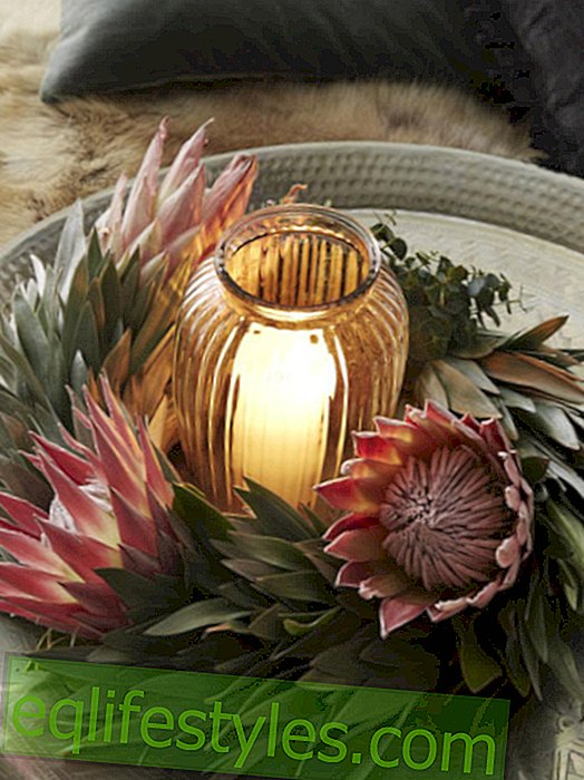Festive flower arrangement with lantern