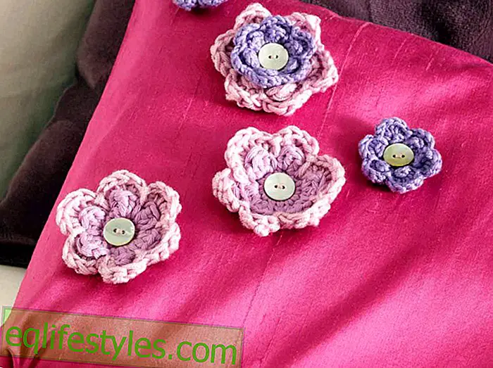 ζω: Ανοιξιάτικη Μαξιλάρι πλέκω Σχέδιο: Πώς να πλέκω ένα μαξιλάρι με λουλούδια βελονάκι