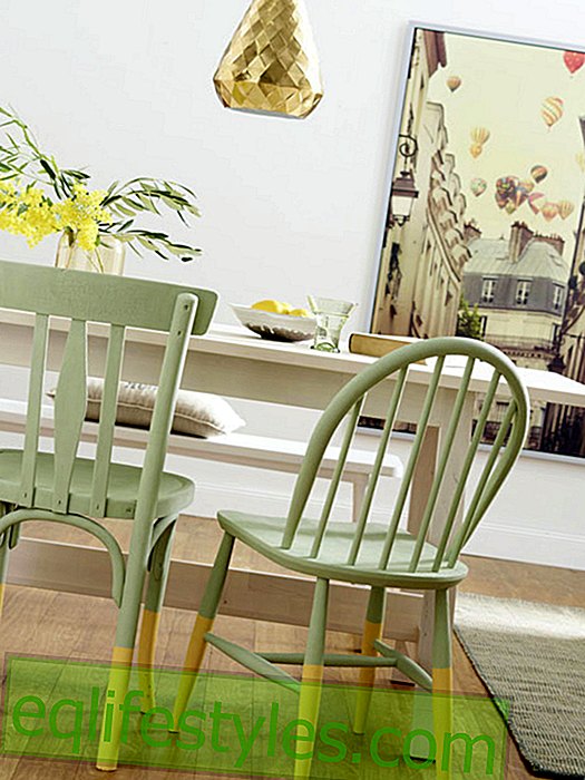 live - New painting complacent?  Upcycling for your old chairs
