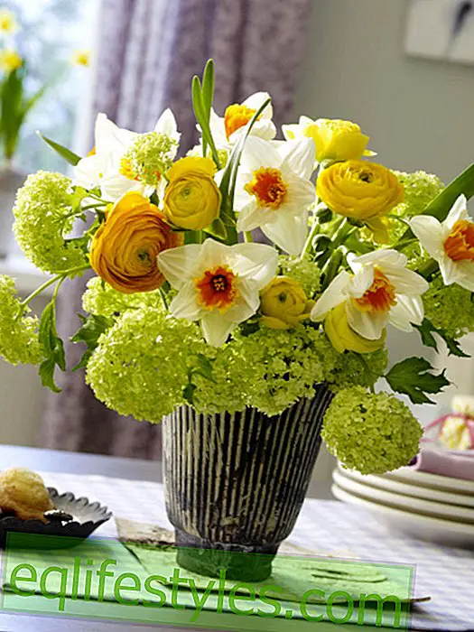 live: Easter bouquet of daffodils and ranunculus