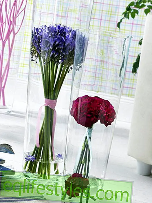 Bouquets in tall glass vases