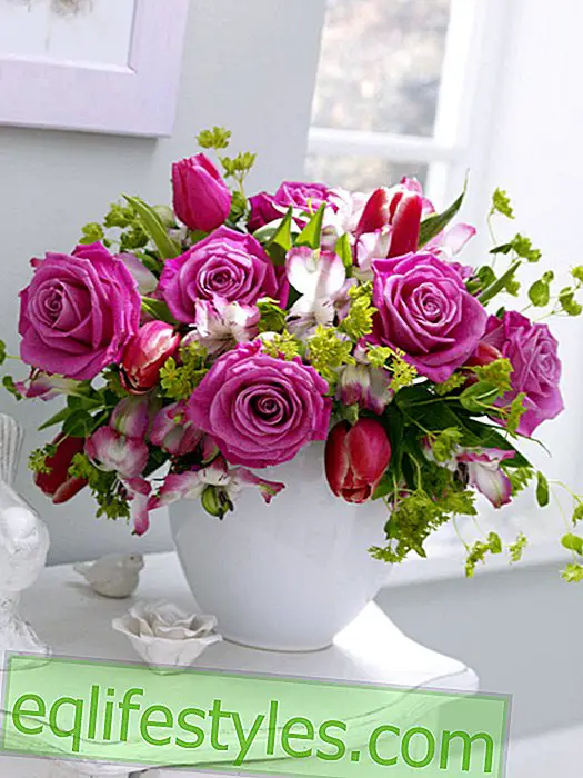 live - White vase with pink and red roses
