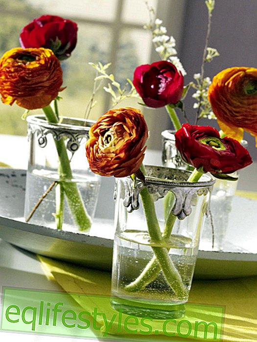 leve - Ranunculus blomster i glass
