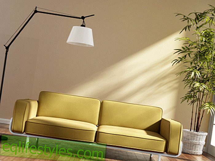 Bamboo furnishing with bamboo: That's how it looks
