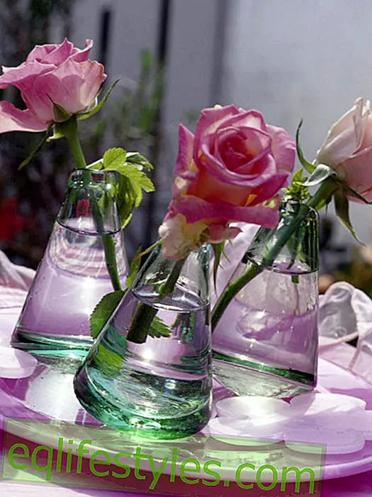 Rosas en mini jarrones de cristal