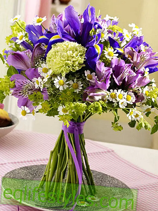 Bouquet debout de camomille et d'iris