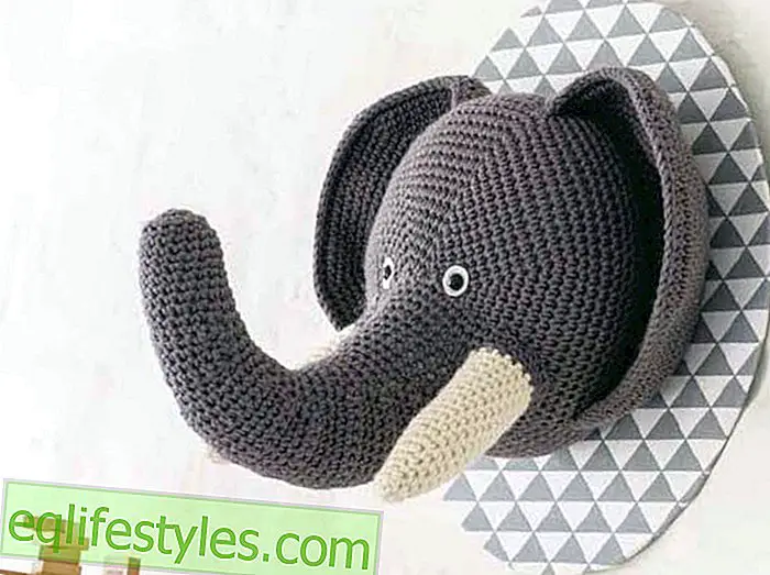 코끼리를위한 Animal DekoHkel 가이드
