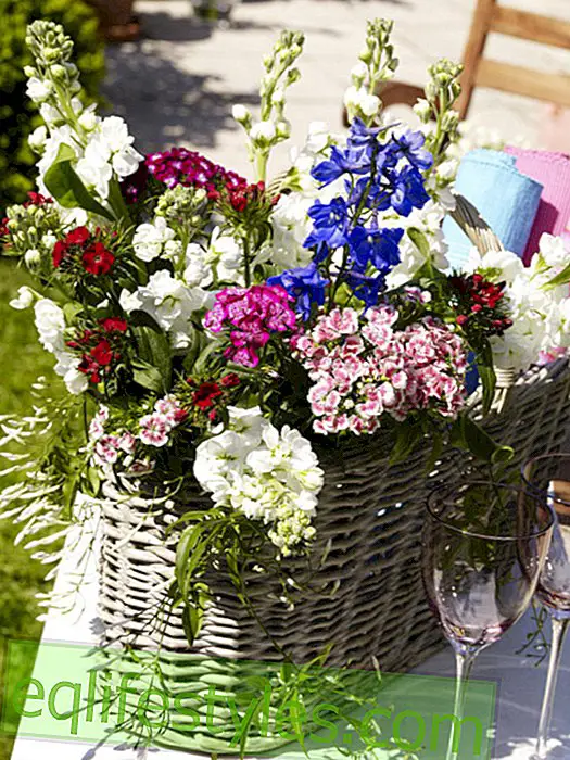 Bouquet in a basket for the summer party