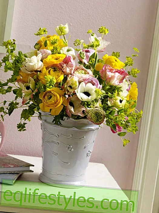 Colorful spring bouquet of ranunculus and anemones