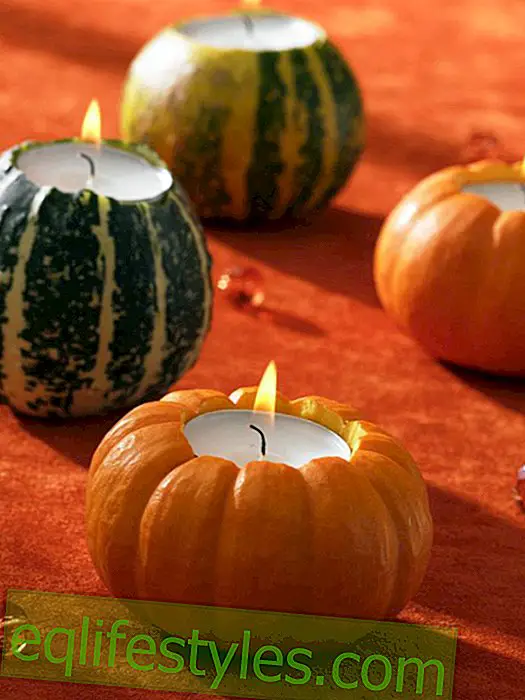 Pumpkins as tealights