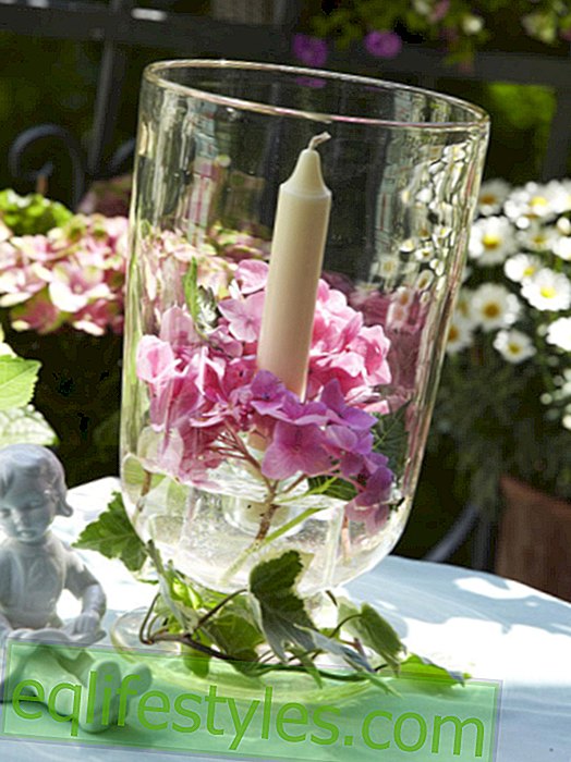 DIY-tips: Blomstret lykt til hage og balkong