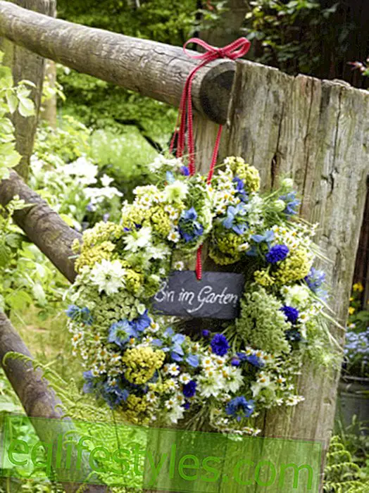 live - Summer floral wreath for making your own
