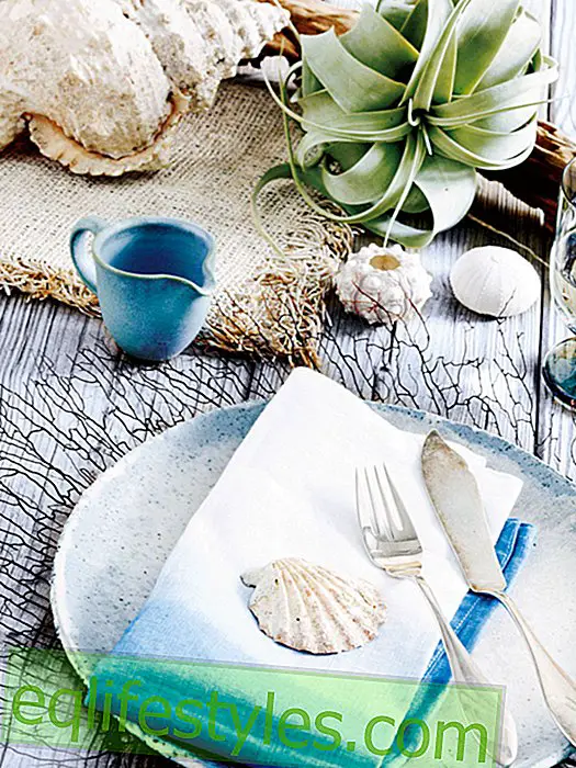 Maritime table decoration: That's what summer tastes like