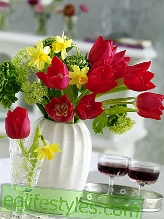 live: Spring bouquet of tulips and ranunculus