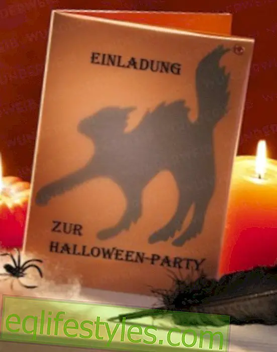 live - Halloween: invitation card for the scary party