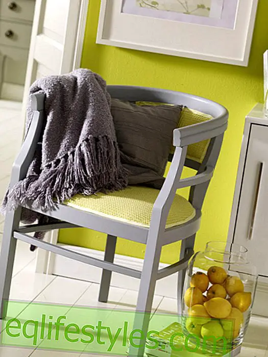 לחיות: כסא מרופד בצבע אפור-לימון