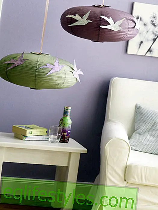 Lampshade with paper birds