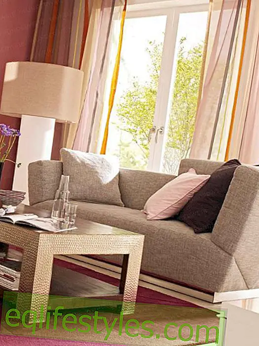 Living room: sofa for relaxing