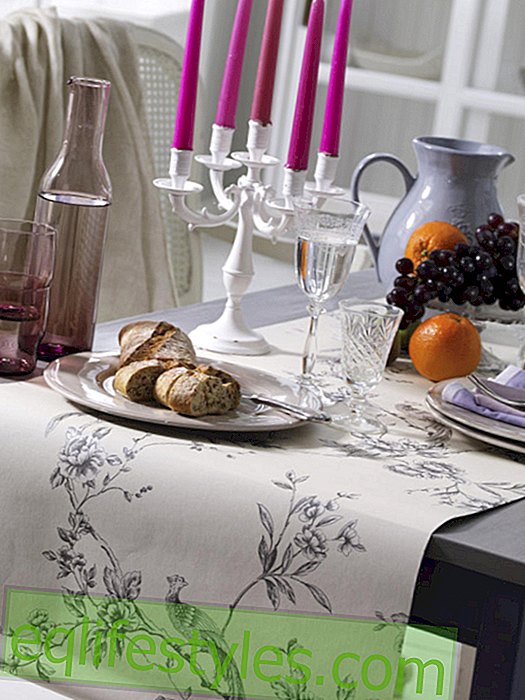 Toile de jouy wallpaper tablecloth