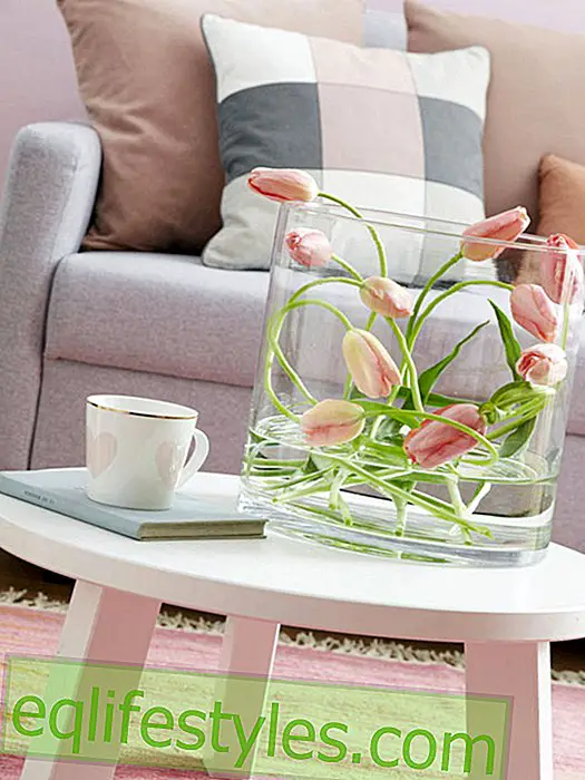 vivere: 5 semplici idee decorative con tulipani e ranuncoli