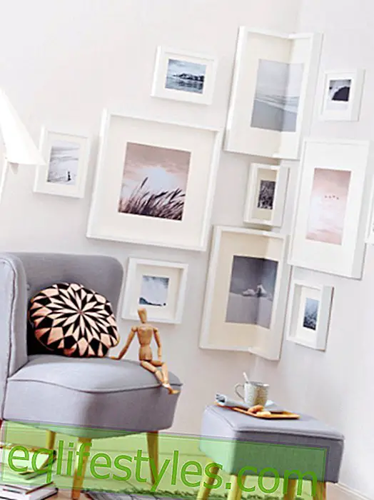 Make a photo wall yourself - creative ideas