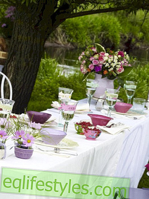 live - Summer on the plate: Cheerful table decoration