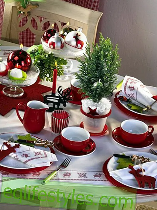 Διακοσμήστε το τραπέζι του καφέ Advent