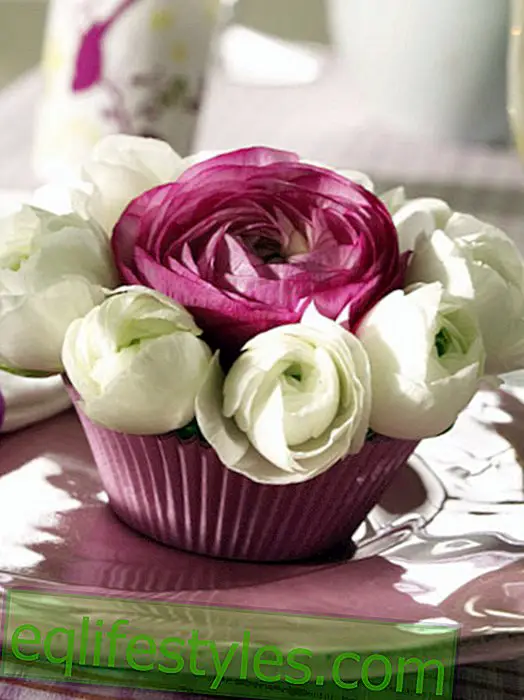 Charming flowers: With Ranunculus it is easy to chatter