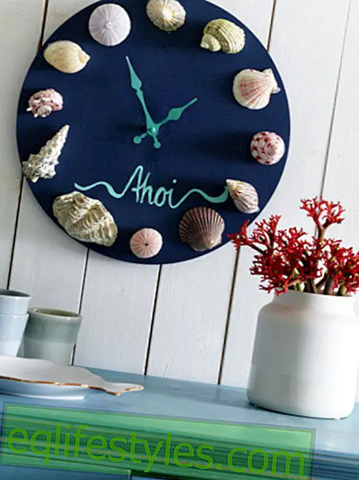 DIY idea with the flair of the sea: make a clock from shells