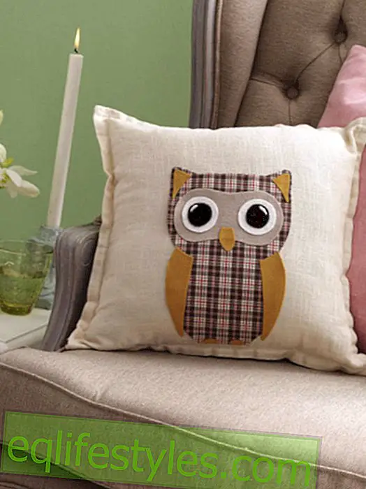 Owl Pillow: Sweet DIY idea to make yourself