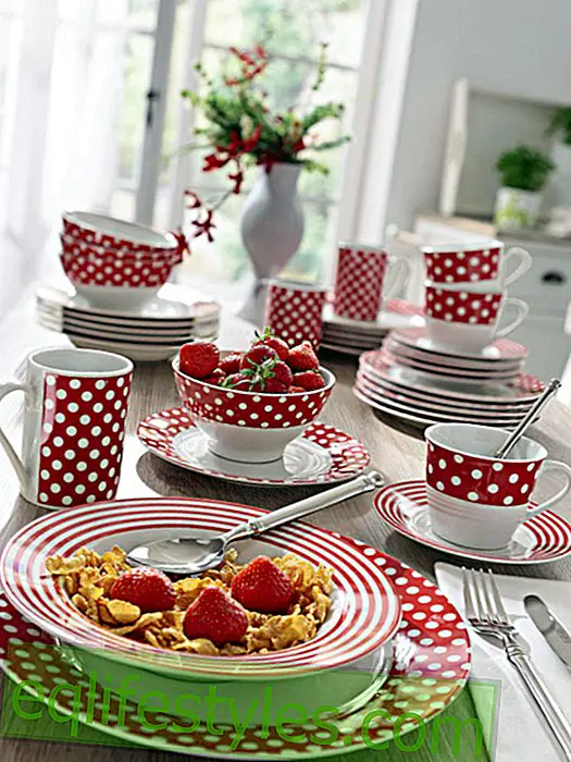 live - Nice service: table delights with fine porcelain