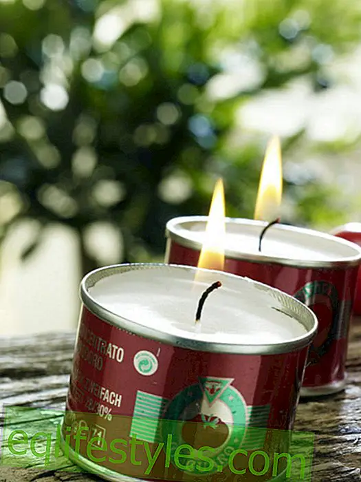 Italian party: candles in canned
