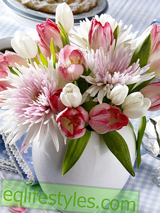 vivre - Pastel bouquet de tulipes et de chrysanthèmes